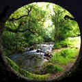 Website Design in Plymouth Devon on the southwest edge of Dartmoor providing website design training